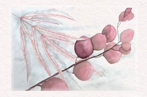 Ramo de hojas y frutos pintados en acuarela con tonos rosas y grises, estilo artístico suave y delicado.