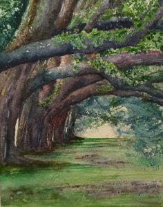 Árboles antiguos con troncos gruesos y ramas entrelazadas formando un pasaje boscoso, en estilo pintura acuarela, paisaje natural, escuela de arte en Barcelona, dibujo y pintura.