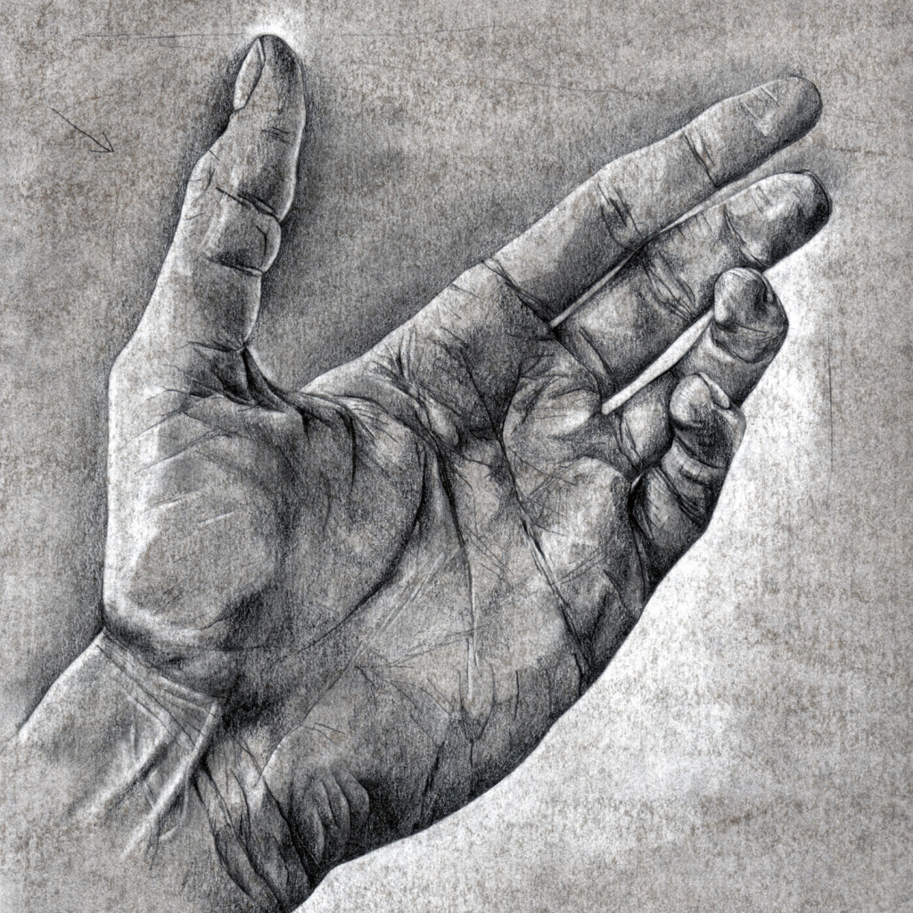 Dibujo de una mano en blanco y negro para estudiar luces, sombras y volumen.